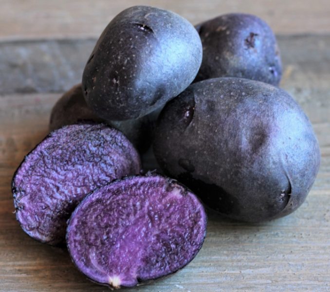 Фиолетовая Картошка Сорт Фото