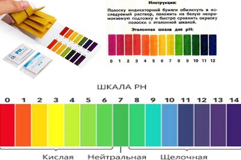 Тест-полоски лакмусовой бумаги обозначат кислотность почвы. Средняя цена — 50 рублей