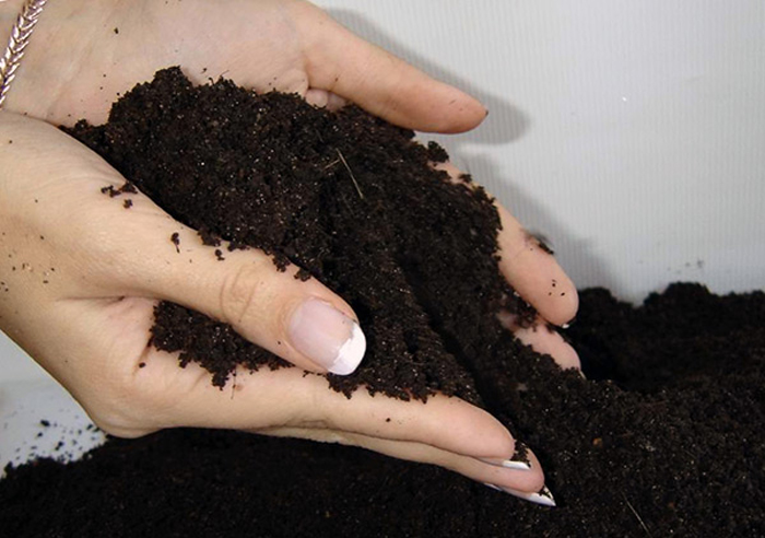 Подготовка почвогрунтов: смешайте плодородную землю/компост с торфом и песком в пропорциях 3:1:1 (удобней отмерять вёдрами)