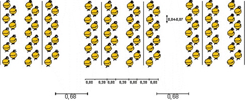 Эта схема показывает ряды, где посадка выполнена рядами. Отступ составляет 2, 5 см. Глубина лунки 4 см.