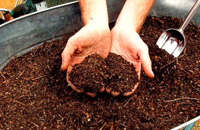 Перегной — лучшее удобрение для почвы перед высадкой клубники