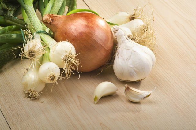 Лук и чеснок — популярное домашнее средство от колорадца для кустов картофеля