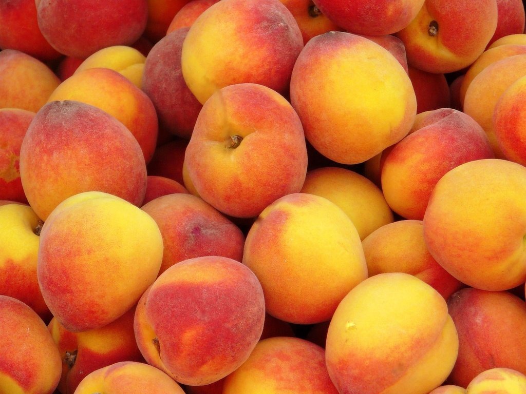 Если вы покупаете персики, чтобы сразу их съесть или приготовить из них варенье — берите слегка переспелые плоды — они гораздо слаще