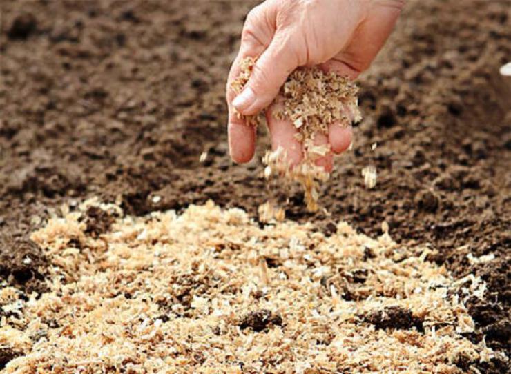 Чтобы почва лучше удерживала влагу, смешайте ее с опилками или торфом