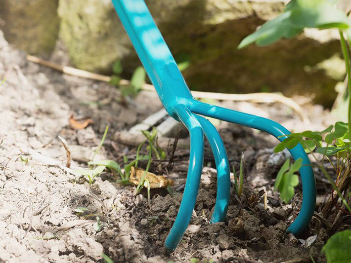 Рыхлая почва пропускает больше кислорода к корням растения