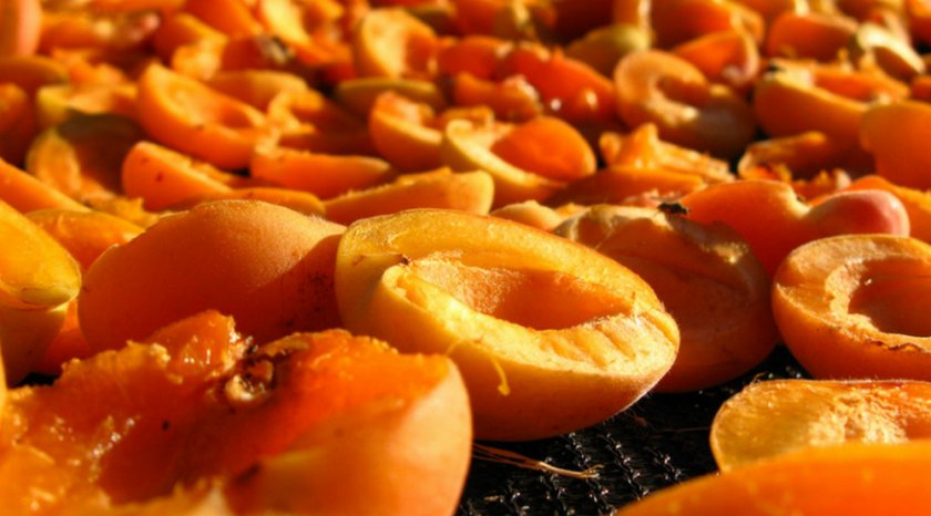Как сушить абрикосы в домашних условиях