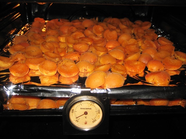 Если вы сушите абрикосы в духовке, советую включить режим конвекции