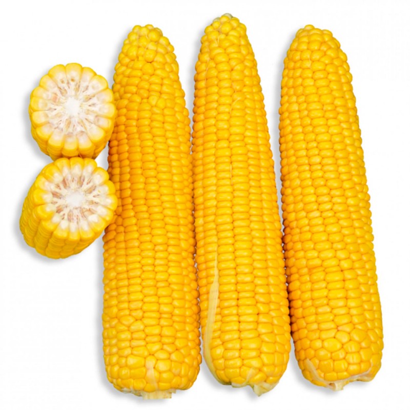 Кукуруза фуражная, что это такое — как отличить кормовую картошку от пищевой?