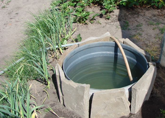 Отличный вариант – сбор дождевой воды, она идеально подходит для полива