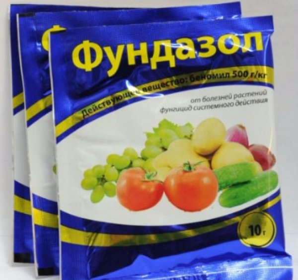 Фундазол защитит томаты от большинства болезней. Цена — 50 рублей