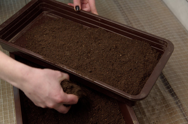 Рыхлая структура почвы помогает дышать и развиваться корням
