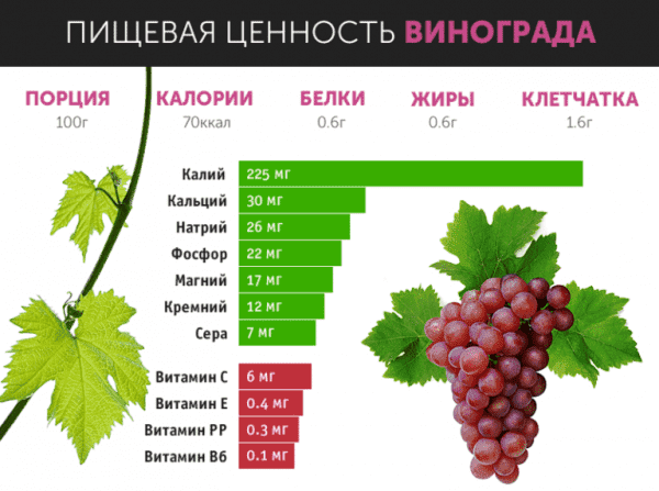 Фото: в красном винограде содержится большое количество витаминов и микроэлементов