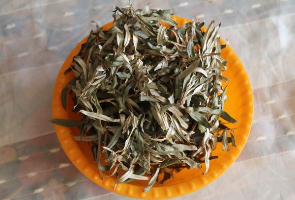 Из листьев облепихи делается удивительно вкусный и полезный чай