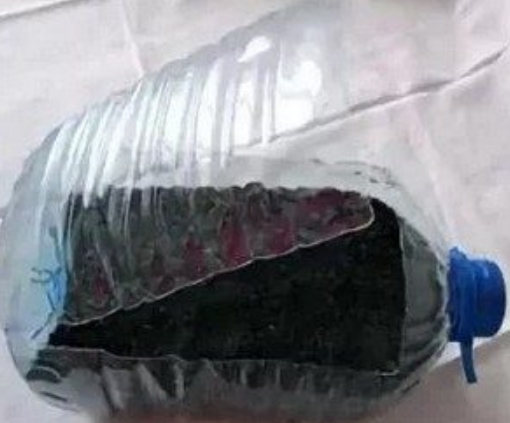 Посадка огурцов в 5 литровых бутылках ? : выращивание в пластиковых бутылкахиз под воды, как вырастить огурцы в пятилитровых бутылках
