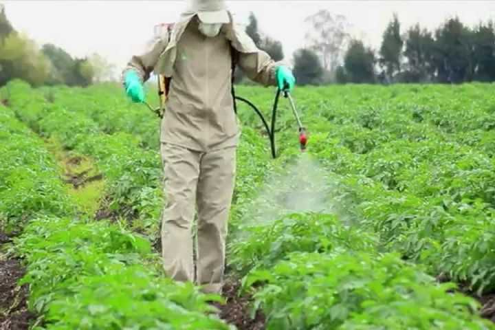Работа с пестицидами обязательно должна проводиться в защитном костюме