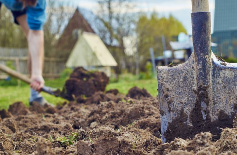 Осенью, до посадки семян весной нужно перекопать грунт, заглубляя лопату в землю на 30–40 см